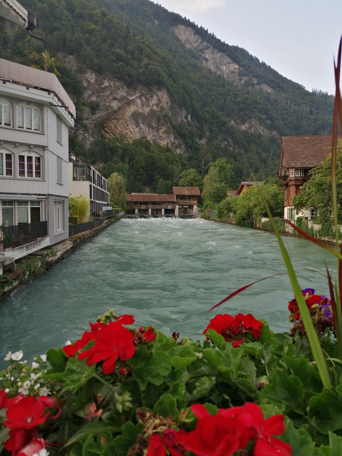 Interlaken, vista de la ciudad