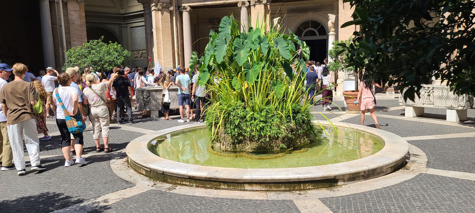Roma, foto 2