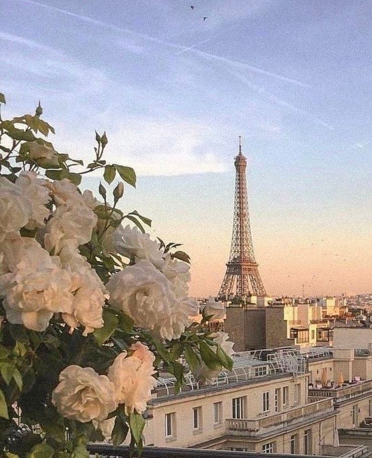 París, vista de la ciudad