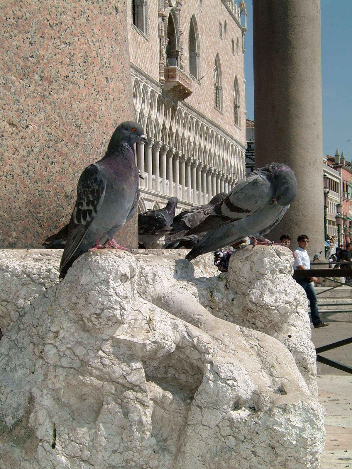 Venecia, foto 1