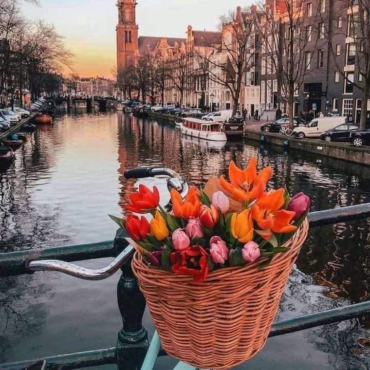 Ámsterdam, vista de la ciudad